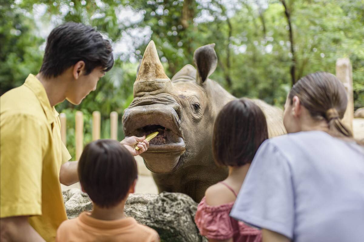 Singapore Zoo